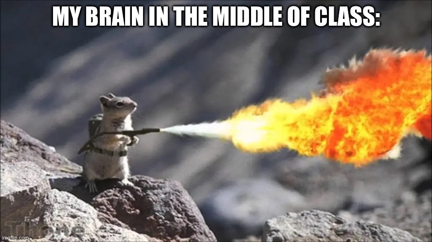 MY BRAIN IN THE MIDDLE OF CLASS: | image tagged in squirrel | made w/ Imgflip meme maker