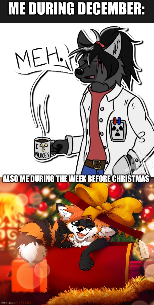 1 more day till christmas ^_^ (credit in comments) | ME DURING DECEMBER:; ALSO ME DURING THE WEEK BEFORE CHRISTMAS | image tagged in furry,happy,christmas,furry meh,furry excited,funny | made w/ Imgflip meme maker