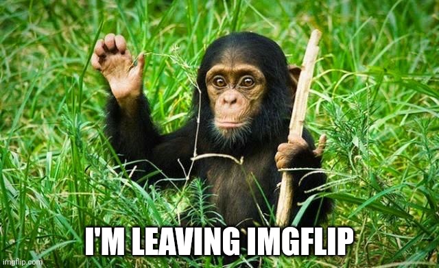 goodbye | I'M LEAVING IMGFLIP | image tagged in goodbye | made w/ Imgflip meme maker