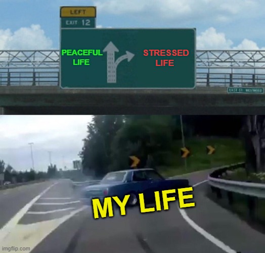 My life and problems | PEACEFUL LIFE; STRESSED LIFE; MY LIFE | image tagged in memes,life,the problem is,lol so funny,funny memes,funny | made w/ Imgflip meme maker