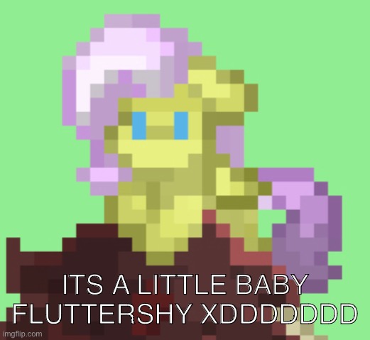 From PT testing server, access only for patreon users | ITS A LITTLE BABY FLUTTERSHY XDDDDDDD | made w/ Imgflip meme maker