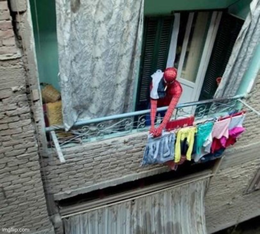 Cairo is cool so far | image tagged in cairo spiderman 2 | made w/ Imgflip meme maker