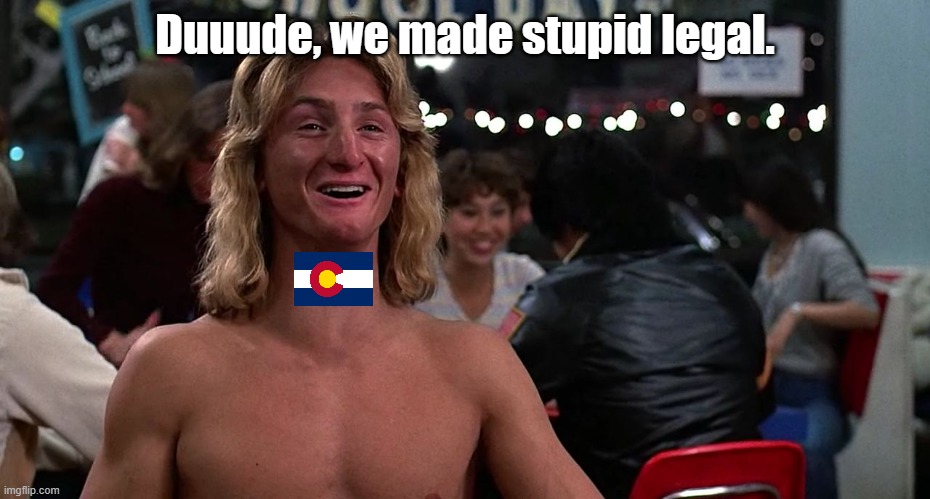 Sean Penn | Duuude, we made stupid legal. | image tagged in sean penn | made w/ Imgflip meme maker