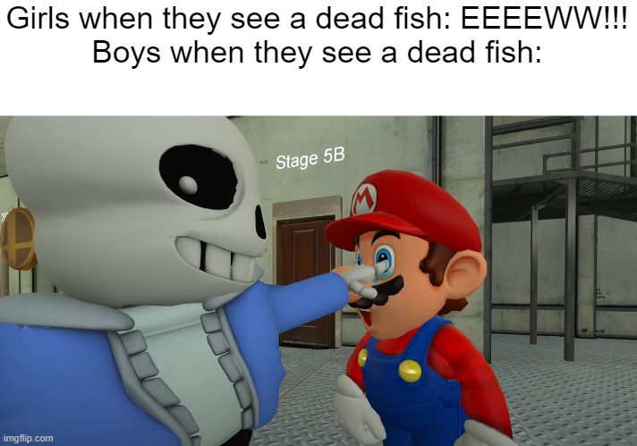 Girls when they see a dead fish: EEEEWW!!!
Boys when they see a dead fish: | image tagged in memes,smg4 | made w/ Imgflip meme maker