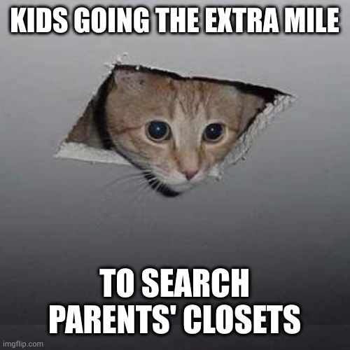 Kids searching parents' closets for gifts | KIDS GOING THE EXTRA MILE; TO SEARCH PARENTS' CLOSETS | image tagged in memes,ceiling cat,overachievers,sneaky,closet,search | made w/ Imgflip meme maker