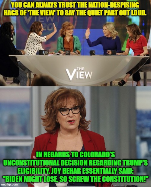 Yes . . . Dem Party voters, this really IS your nation on leftism.  Enjoy what you voted for. | YOU CAN ALWAYS TRUST THE NATION-DESPISING HAGS OF 'THE VIEW' TO SAY THE QUIET PART OUT LOUD. IN REGARDS TO COLORADO'S UNCONSTITUTIONAL DECISION REGARDING TRUMP'S ELIGIBILITY, JOY BEHAR ESSENTIALLY SAID: "BIDEN MIGHT LOSE, SO SCREW THE CONSTITUTION!" | image tagged in yep | made w/ Imgflip meme maker