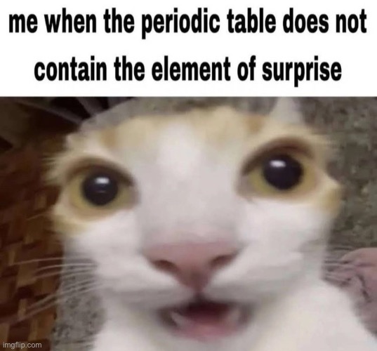:3 | image tagged in cat | made w/ Imgflip meme maker