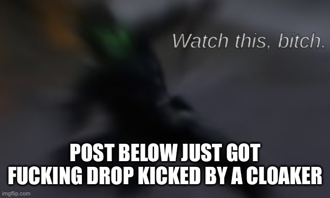 Watch this, bitch | POST BELOW JUST GOT FUCKING DROP KICKED BY A CLOAKER | image tagged in watch this bitch | made w/ Imgflip meme maker