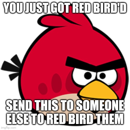 Red | YOU JUST GOT RED BIRD'D SEND THIS TO SOMEONE ELSE TO RED BIRD THEM | image tagged in red | made w/ Imgflip meme maker