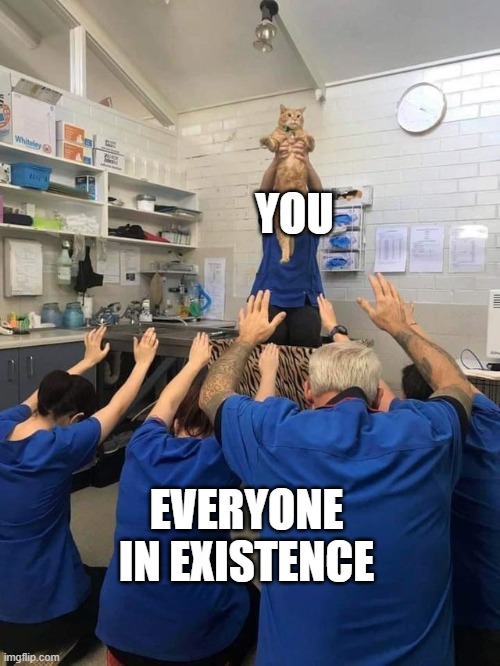 All Hail The Cat | YOU; EVERYONE IN EXISTENCE | image tagged in all hail the cat | made w/ Imgflip meme maker
