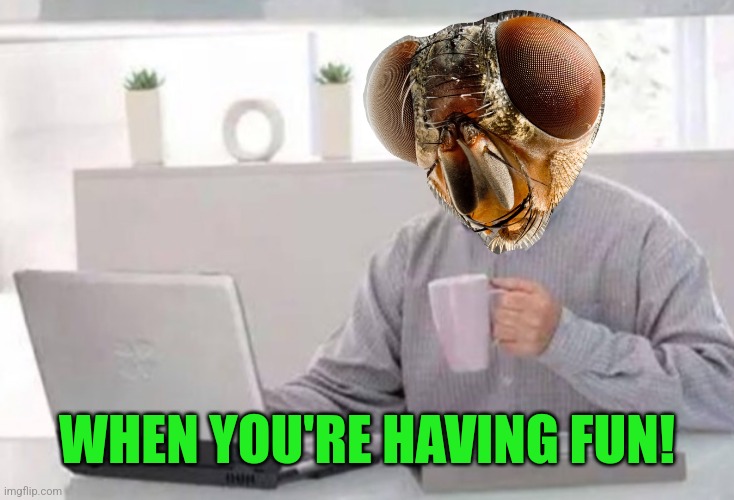 WHEN YOU'RE HAVING FUN! | made w/ Imgflip meme maker