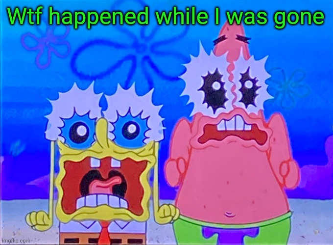 Scare spongboob and patrichard | Wtf happened while I was gone | image tagged in scare spongboob and patrichard | made w/ Imgflip meme maker