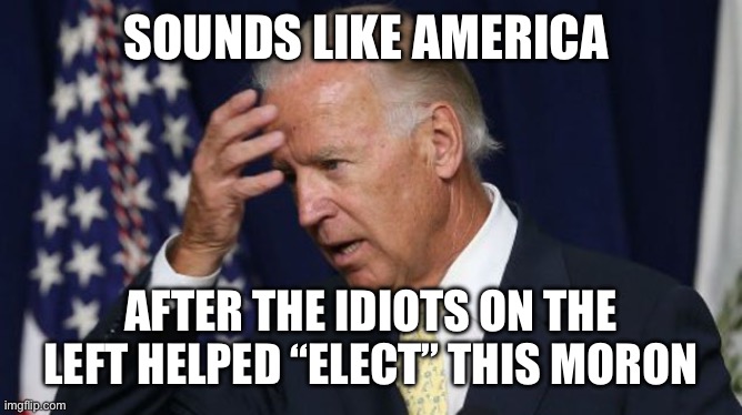 Joe Biden worries | SOUNDS LIKE AMERICA AFTER THE IDIOTS ON THE LEFT HELPED “ELECT” THIS MORON | image tagged in joe biden worries | made w/ Imgflip meme maker