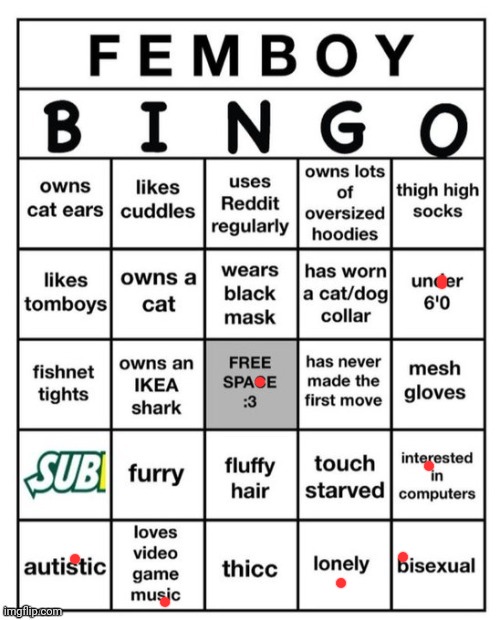 Femboy Bingo | image tagged in femboy bingo | made w/ Imgflip meme maker