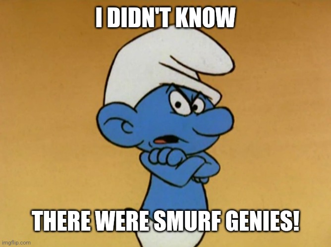 Grouchy Smurf | I DIDN'T KNOW THERE WERE SMURF GENIES! | image tagged in grouchy smurf | made w/ Imgflip meme maker