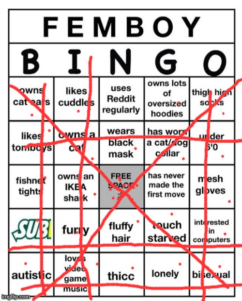 Femboy Bingo | image tagged in femboy bingo | made w/ Imgflip meme maker