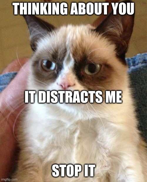 Grumpy Cat | THINKING ABOUT YOU; IT DISTRACTS ME; STOP IT | image tagged in memes,grumpy cat | made w/ Imgflip meme maker