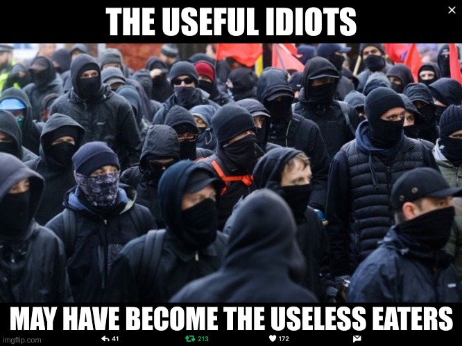 We can only hope | THE USEFUL IDIOTS; MAY HAVE BECOME THE USELESS EATERS | image tagged in antifa | made w/ Imgflip meme maker