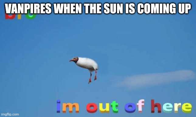 bro im out of here | VANPIRES WHEN THE SUN IS COMING UP | image tagged in bro im out of here | made w/ Imgflip meme maker