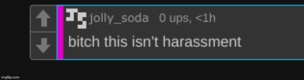 bitch this isn't harassment | image tagged in bitch this isn't harassment | made w/ Imgflip meme maker