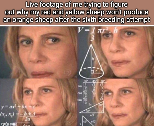 Did they update that or something? | Live footage of me trying to figure out why my red and yellow sheep won't produce an orange sheep after the sixth breeding attempt | image tagged in math lady/confused lady | made w/ Imgflip meme maker