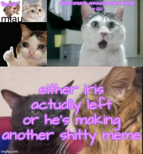 Nevermind he was permabanned LMAOOOOO | either iris actually left or he's making another shitty meme | image tagged in ametonian's announcement temp v 1 2 1 | made w/ Imgflip meme maker