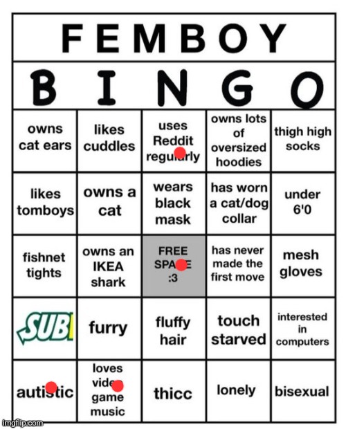 not a femboy, just wanted to try the board out | image tagged in femboy bingo | made w/ Imgflip meme maker