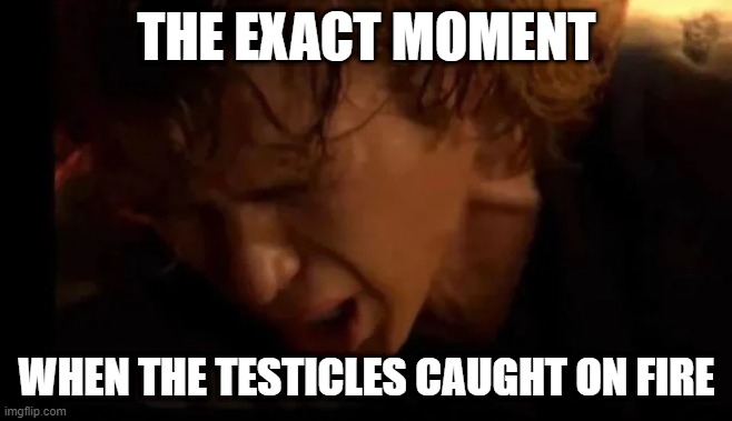 I Hate You | THE EXACT MOMENT; WHEN THE TESTICLES CAUGHT ON FIRE | image tagged in anakin | made w/ Imgflip meme maker