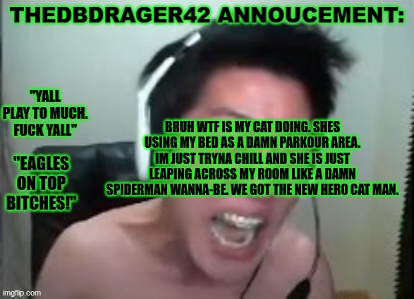 bro thinks she in a action movie | BRUH WTF IS MY CAT DOING. SHES USING MY BED AS A DAMN PARKOUR AREA. IM JUST TRYNA CHILL AND SHE IS JUST LEAPING ACROSS MY ROOM LIKE A DAMN SPIDERMAN WANNA-BE. WE GOT THE NEW HERO CAT MAN. | image tagged in thedbdrager42s annoucement template | made w/ Imgflip meme maker