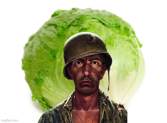 Lettuce  | image tagged in lettuce | made w/ Imgflip meme maker