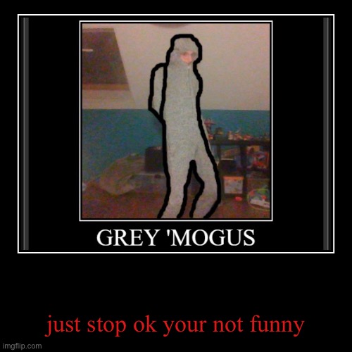 just stop its not funny ok | just stop ok your not funny | image tagged in funny,demotivationals | made w/ Imgflip demotivational maker
