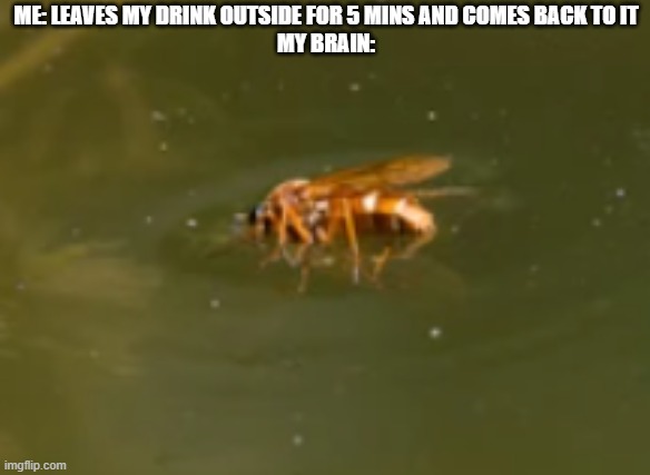 My brain after leaving a drink outside for 5 mins | ME: LEAVES MY DRINK OUTSIDE FOR 5 MINS AND COMES BACK TO IT
MY BRAIN: | image tagged in fly,dead,drink,outside | made w/ Imgflip meme maker