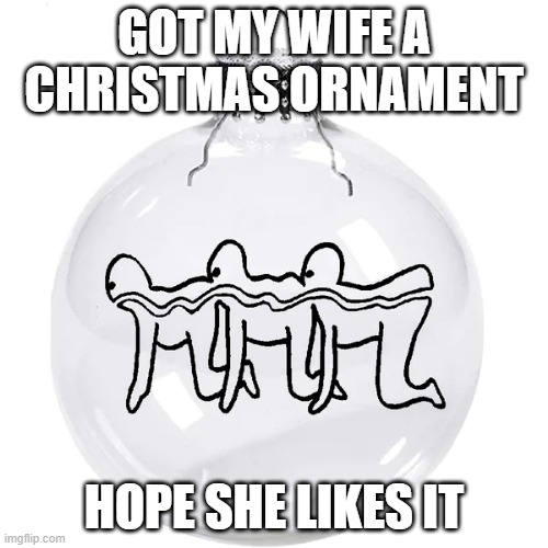 Centipede | GOT MY WIFE A CHRISTMAS ORNAMENT; HOPE SHE LIKES IT | image tagged in dark humor | made w/ Imgflip meme maker