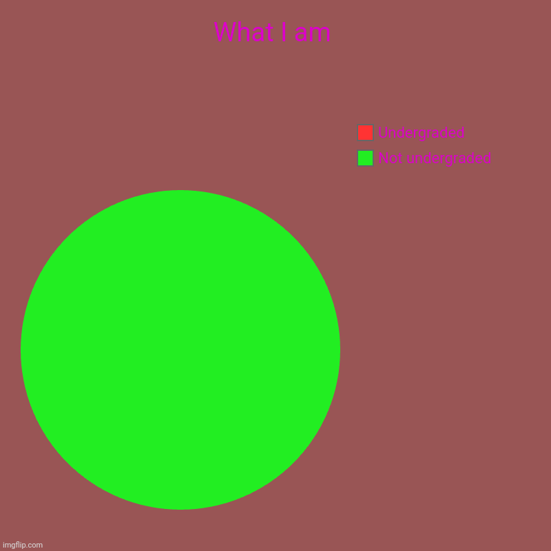 Which one I am? | What I am | Not undergraded, Undergraded | image tagged in charts,pie charts,which one i am | made w/ Imgflip chart maker