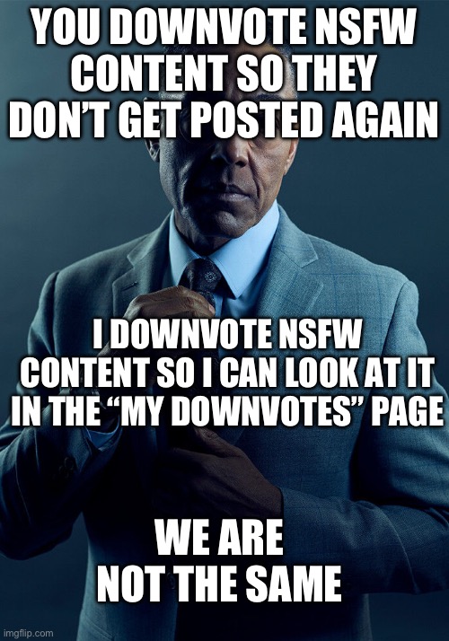 /j | YOU DOWNVOTE NSFW CONTENT SO THEY DON’T GET POSTED AGAIN; I DOWNVOTE NSFW CONTENT SO I CAN LOOK AT IT IN THE “MY DOWNVOTES” PAGE; WE ARE NOT THE SAME | image tagged in gus fring we are not the same | made w/ Imgflip meme maker