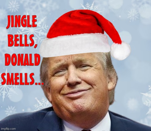 batman does not smell | image tagged in christmas,maga morons,clown car republicans,shit,merry christmas,jingle bells | made w/ Imgflip meme maker