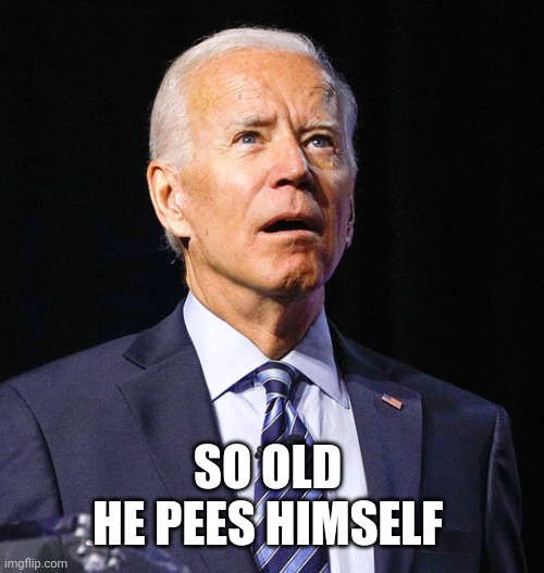 Joe Biden | SO OLD 
HE PEES HIMSELF | image tagged in joe biden | made w/ Imgflip meme maker