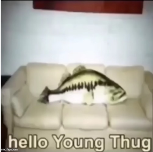 Hello young thug | image tagged in hello young thug | made w/ Imgflip meme maker
