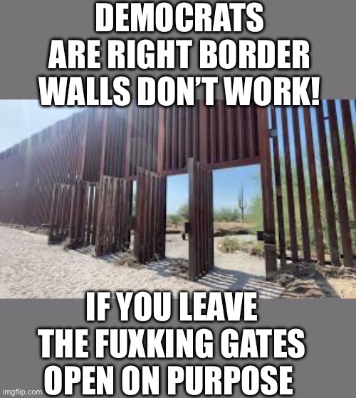 Yep simple logic | DEMOCRATS ARE RIGHT BORDER WALLS DON’T WORK! IF YOU LEAVE THE FUXKING GATES OPEN ON PURPOSE | made w/ Imgflip meme maker