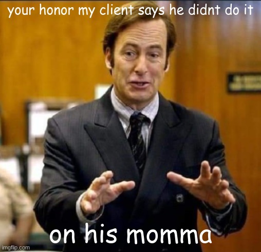 your honor my client says he didnt do it; on his momma | made w/ Imgflip meme maker