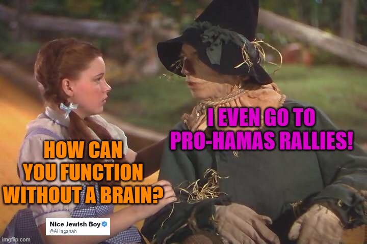 Brainless does what brainless does | I EVEN GO TO PRO-HAMAS RALLIES! HOW CAN YOU FUNCTION WITHOUT A BRAIN? | image tagged in dorothy and scarecrow,israel,hamas,isis | made w/ Imgflip meme maker