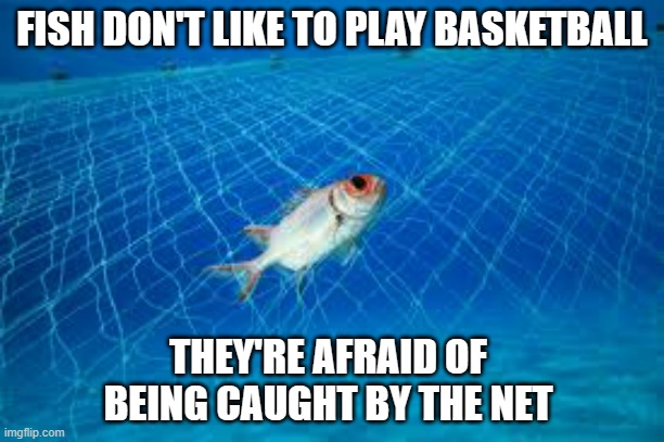 meme by Brad fish playing basketball | FISH DON'T LIKE TO PLAY BASKETBALL; THEY'RE AFRAID OF BEING CAUGHT BY THE NET | image tagged in sports | made w/ Imgflip meme maker