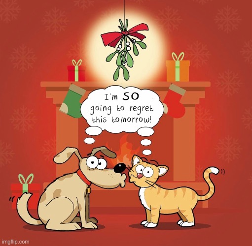 Dog and cat | image tagged in regret,kiss,dog and cat,christmas,dogs | made w/ Imgflip meme maker