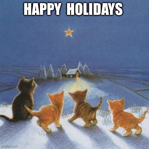 Happy holidays | HAPPY  HOLIDAYS | image tagged in christmas | made w/ Imgflip meme maker