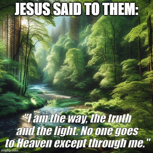 Only God can save you from Hell. | JESUS SAID TO THEM:; "I am the way, the truth and the light. No one goes to Heaven except through me." | image tagged in christiansonly,god,jesus,holy spirit,bible verse of the day | made w/ Imgflip meme maker