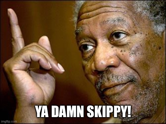 This Morgan Freeman | YA DAMN SKIPPY! | image tagged in this morgan freeman | made w/ Imgflip meme maker