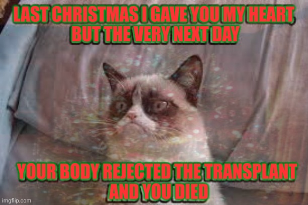 Last Christmas | LAST CHRISTMAS I GAVE YOU MY HEART 
BUT THE VERY NEXT DAY; YOUR BODY REJECTED THE TRANSPLANT 
AND YOU DIED | image tagged in grumpy cat,ho ho ho,last christmas | made w/ Imgflip meme maker