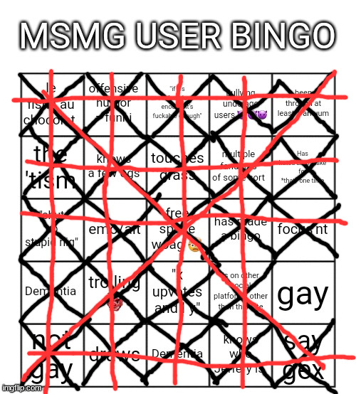 i am not gay. | image tagged in msmg user bingo | made w/ Imgflip meme maker
