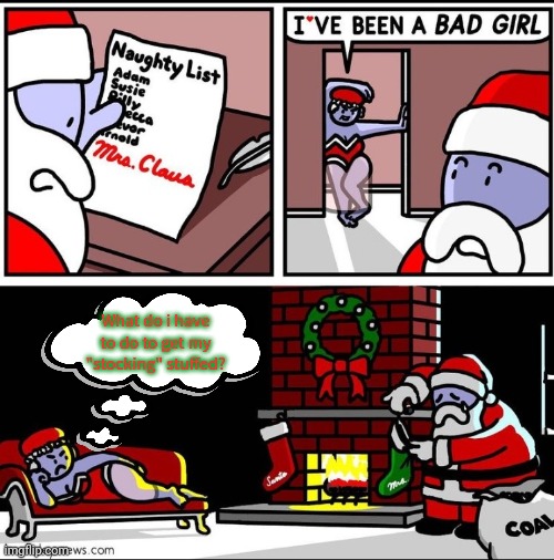 Ho ho ho | What do i have to do to get my "stocking" stuffed? | image tagged in santa claus,mrs claus,santa naughty list,stop it get some help | made w/ Imgflip meme maker