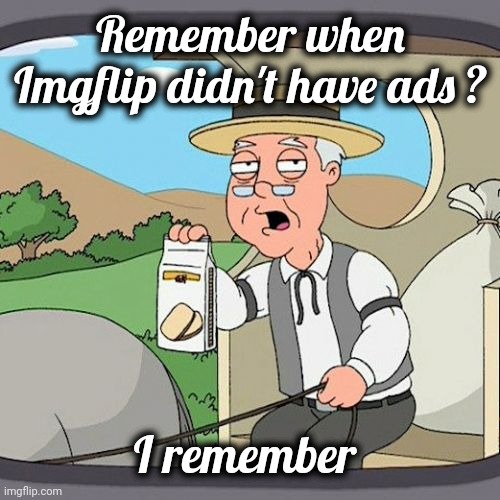 Pepperidge Farm Remembers Meme | Remember when Imgflip didn't have ads ? I remember | image tagged in memes,pepperidge farm remembers | made w/ Imgflip meme maker